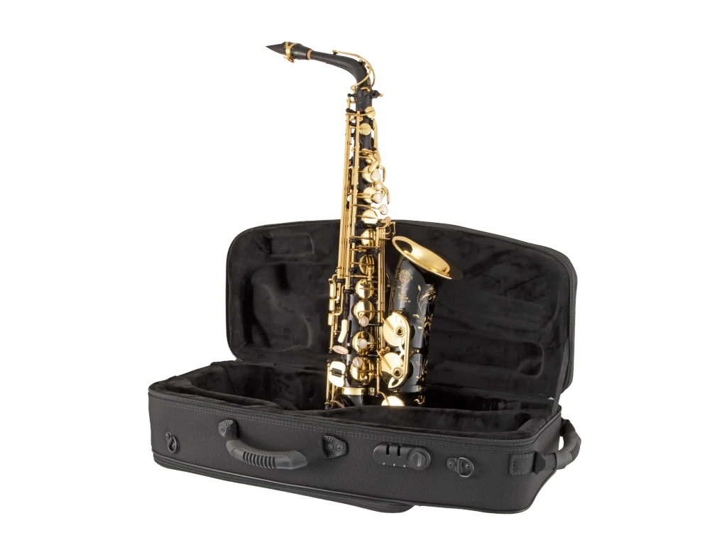 52JBL Selmer Paris Black Lacquer Alto Saxophone Ic Fr Hz Fs