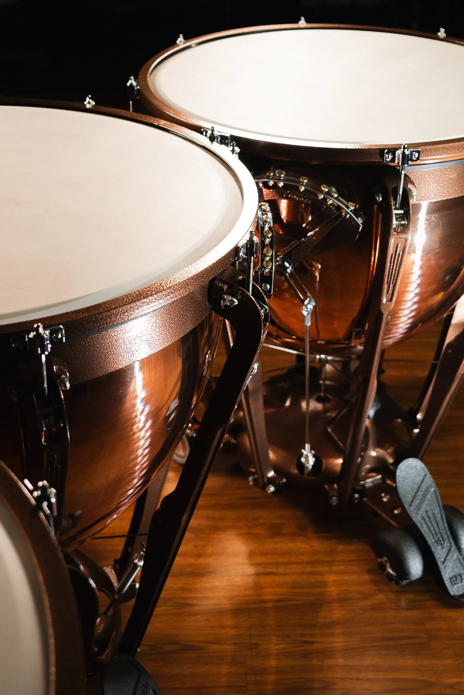 LTP504PG Ludwig Timpani Standard Lifestyle - zoomed in