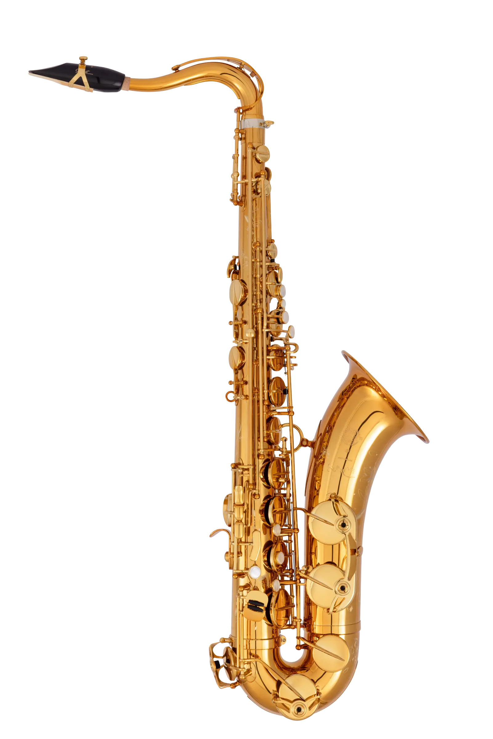 94DL HSP Professional Tenor Sax - zoomed in