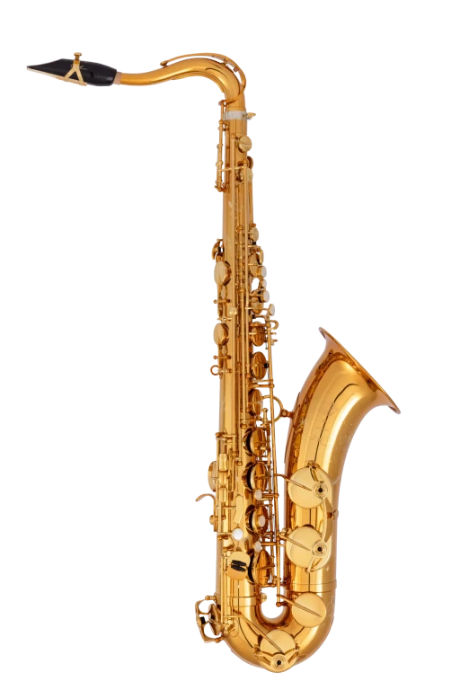 94DL HSP Professional Tenor Sax