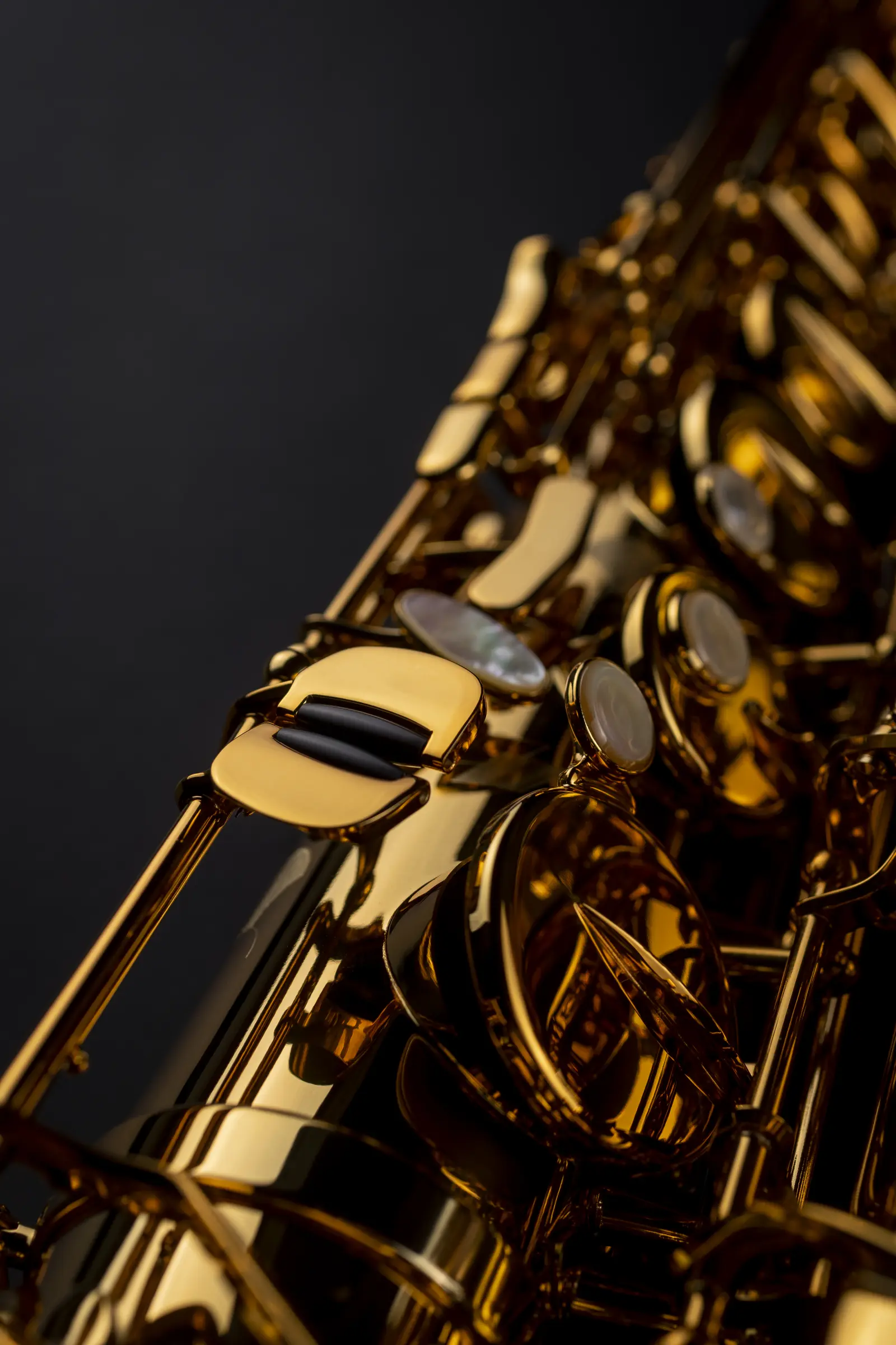 84SIG Selmer Professional Tenor Saxophone ArtShot - zoomed in