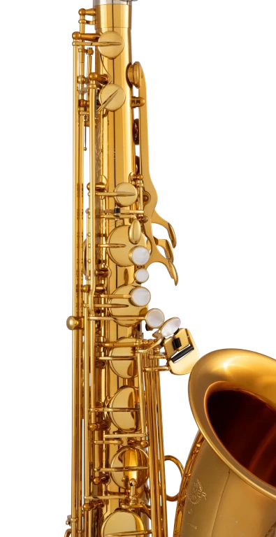 94DL HSP Professional Tenor Sax