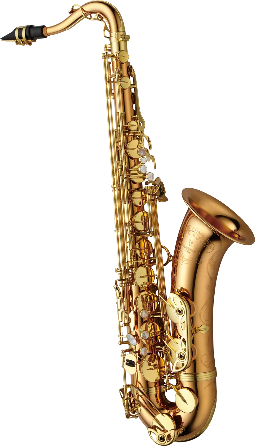 Yanagisawa Tenor Saxophone in Bb TWO20