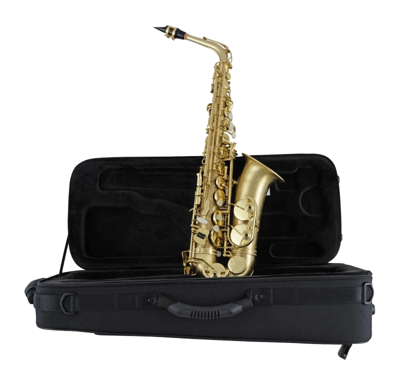 SAS711M Selmer Lacquer Finish Alto Saxophone Ic Fr Hz Fs