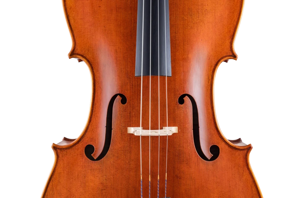 SR75E4H S&R Professional Cello