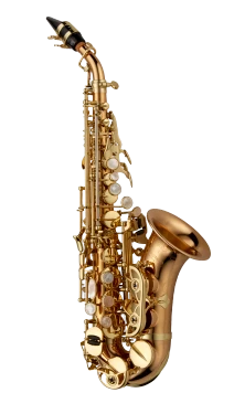 Yanagisawa Elite Soprano Saxophone in Bb SCWO20