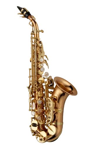 Yanagisawa Elite Soprano Saxophone in Bb SCWO20