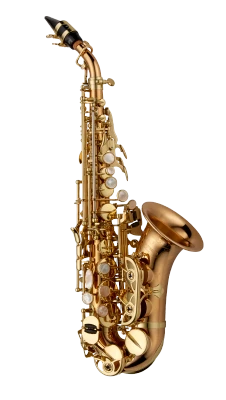 Yanagisawa Elite Soprano Saxophone in Bb SCWO20