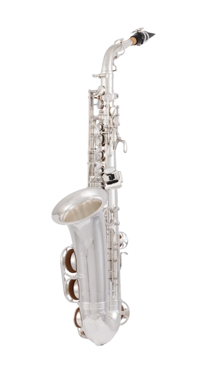AW010S Yanagisawa Professional Alto Saxophone