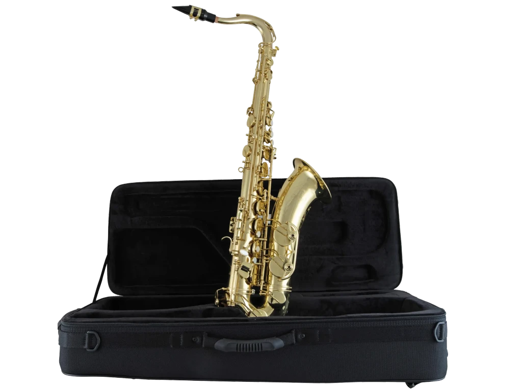 STS711 Selmer Standard Tenor Saxophone Ic Fr Hz Fs