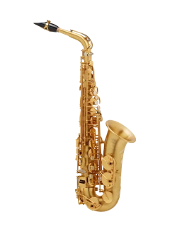 Selmer Paris Signature Alto Saxophone in Eb 82SIGM