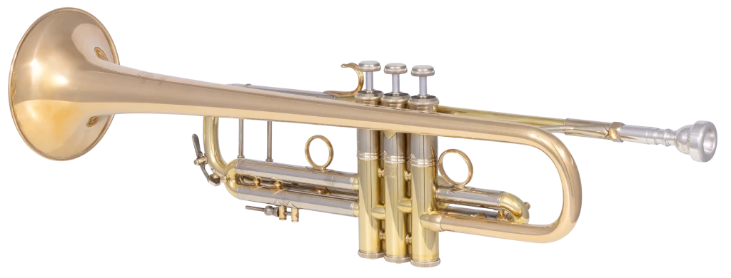 190L65GVU Bach Professional Trumpet