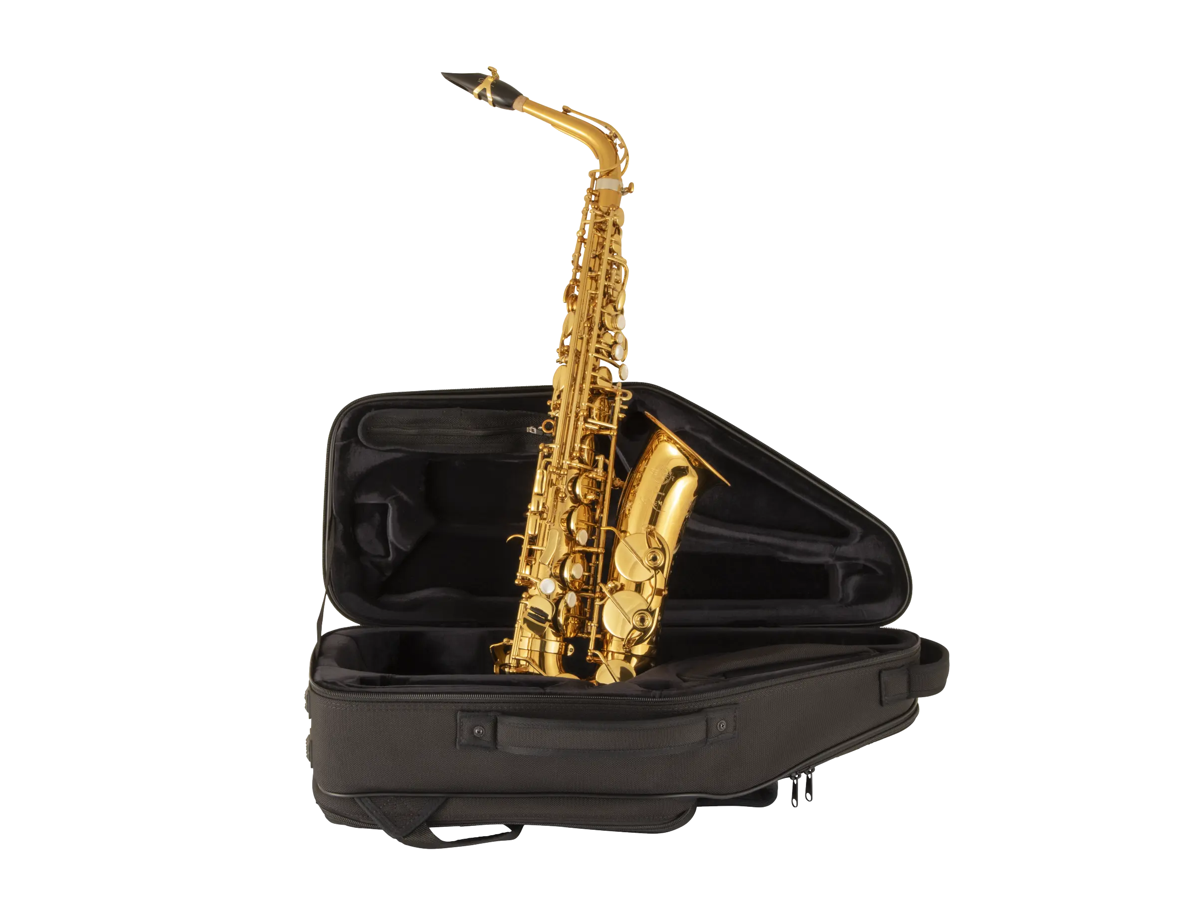 92DL HSP Professional Standard Alto Saxophone Ic Fr Hz Fs - zoomed in