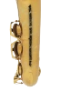 Slide 19 Thumbnail