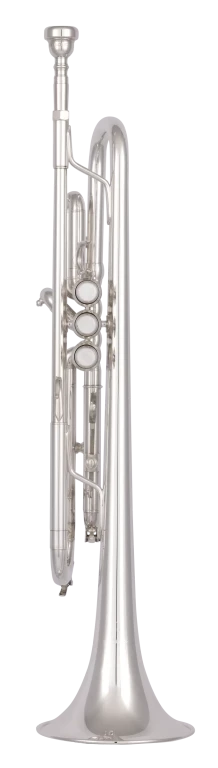 BTR302S Bach Beginner Trumpet
