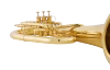 Slide 6 Thumbnail