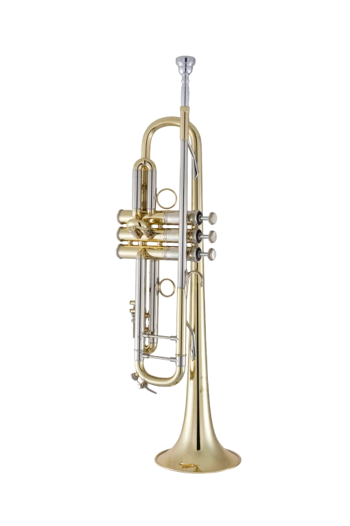 19072V Bach Professional Trumpet