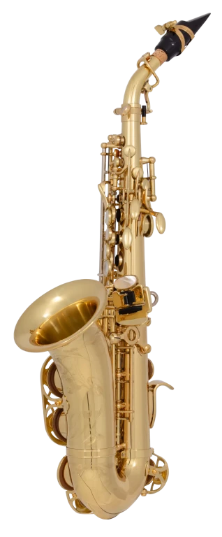 SCWO10 Yanagisawa Curves Soprano Saxophone
