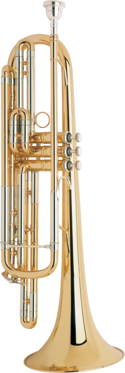 B188 Bach Bass Trumpet