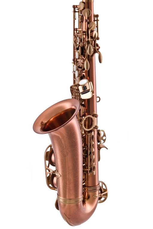 LAS711DL Leblanc Premiere Alto Saxophone with Underslung Neck