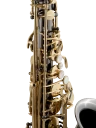 Selmer Alto Saxophone in Eb SAS511