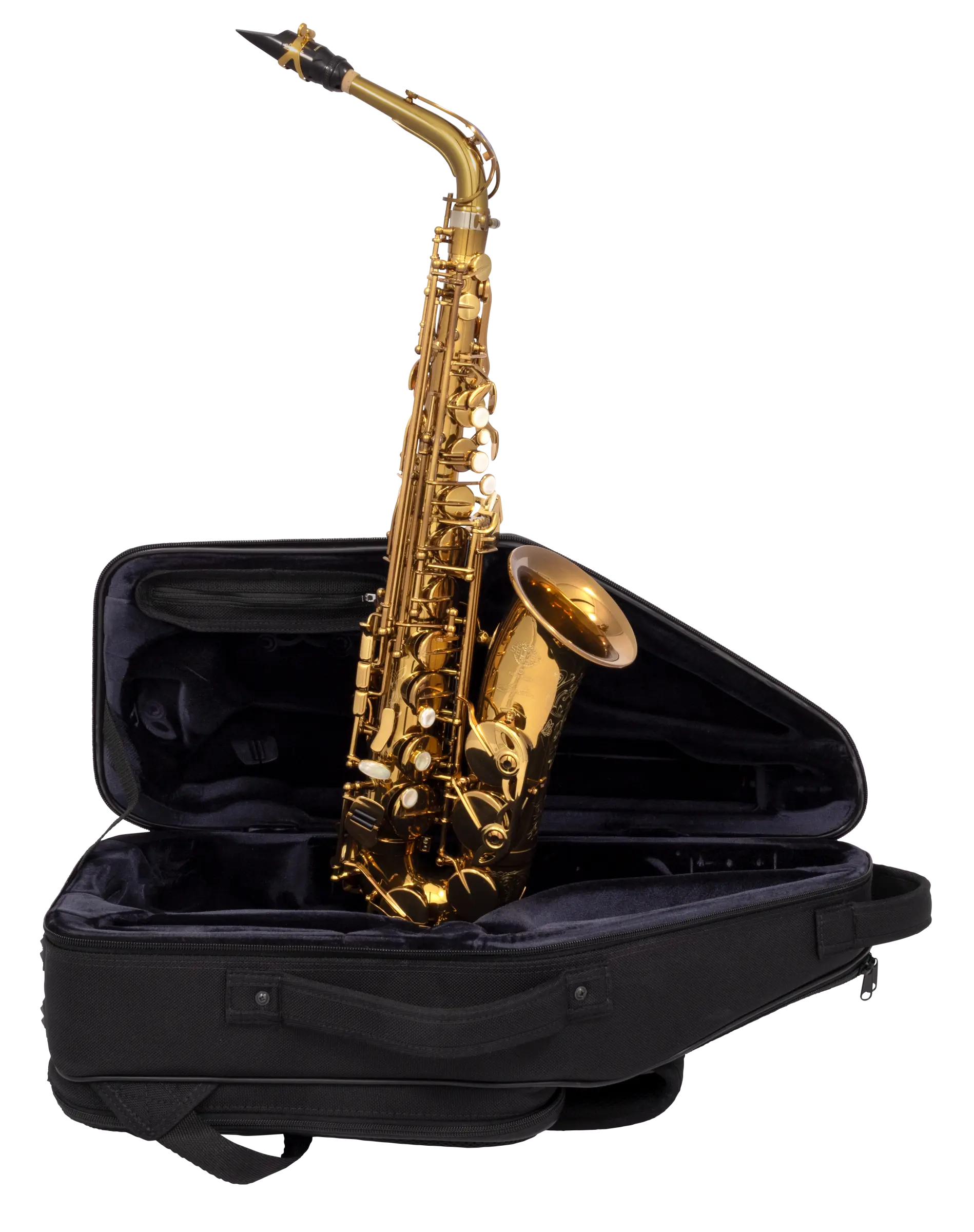 82SIGUSA1 HSP Professional  Alto - zoomed in