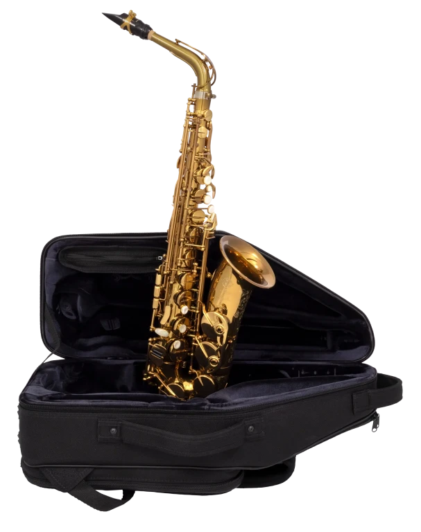 82SIGUSA1 HSP Professional  Alto