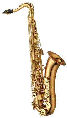 Yanagisawa Professional Tenor Saxophone in Bb TWO2