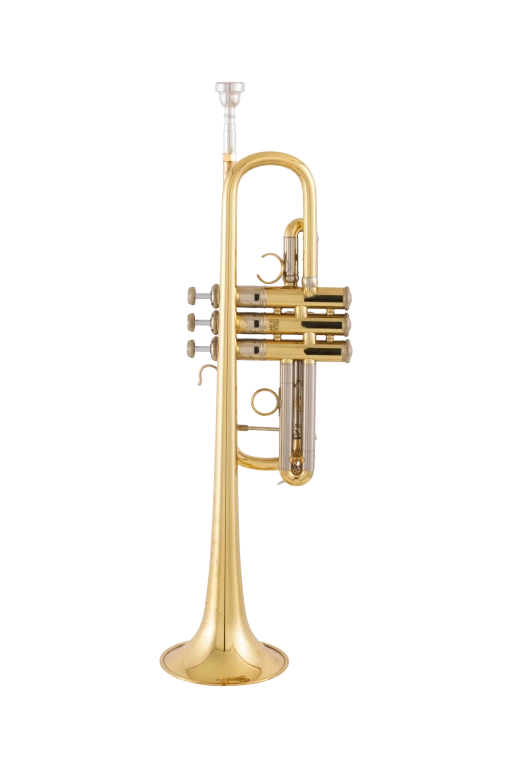 AC190 Bach Professional Artisan Trumpet