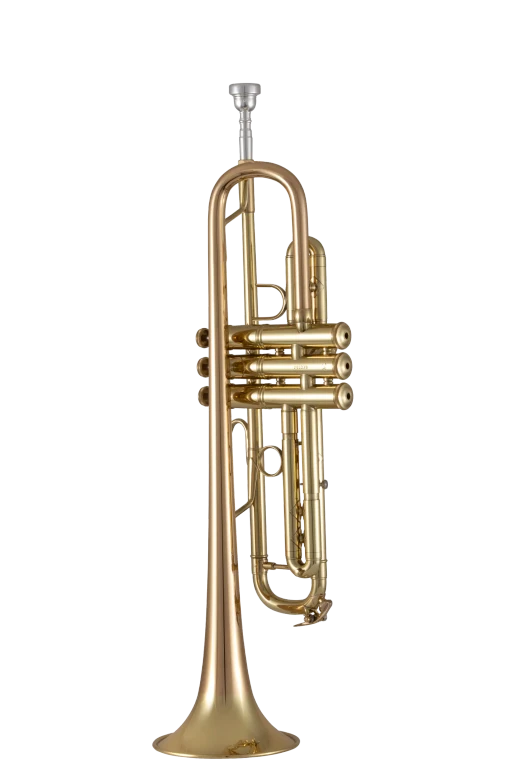 17043GY Bach Standard Professional BflatTrumpet