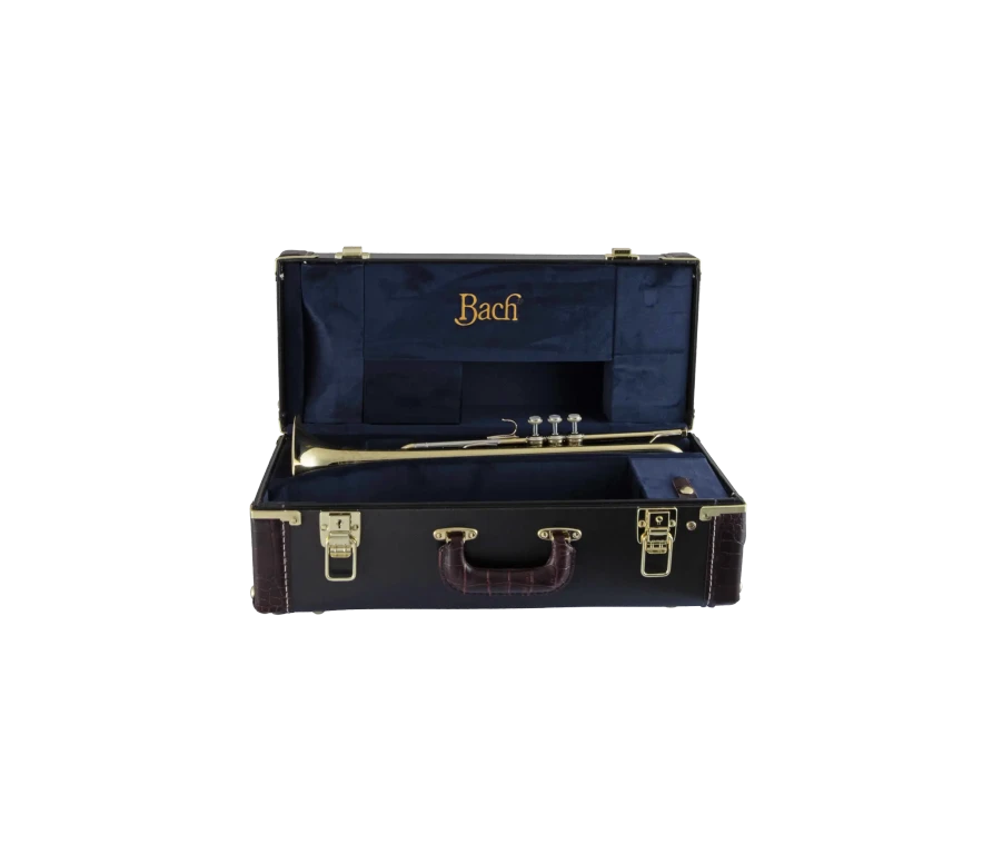 Bach Stradivarius Trumpet in Bb 19043 | Conn Selmer Bach Stradivarius Trumpet in Bb 19043 | Conn Selmer