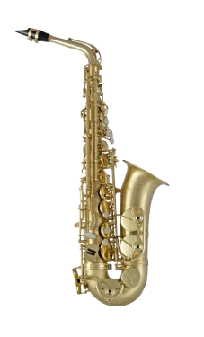 Selmer Alto Saxophone in Eb SAS711M