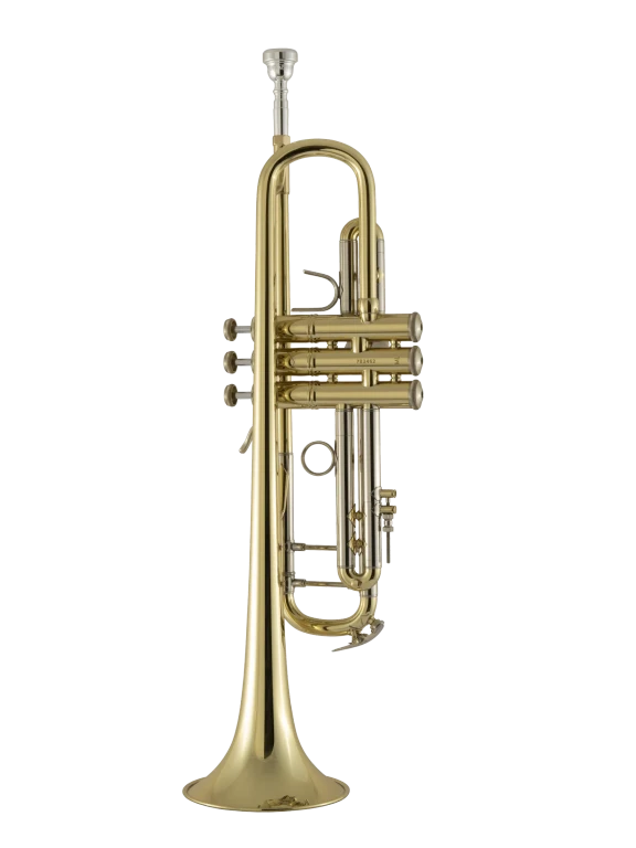 18037 Bach Standard Professional Trumpet In Bk Vr Fs