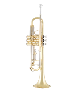 Bach Trumpet in Bb BTR301