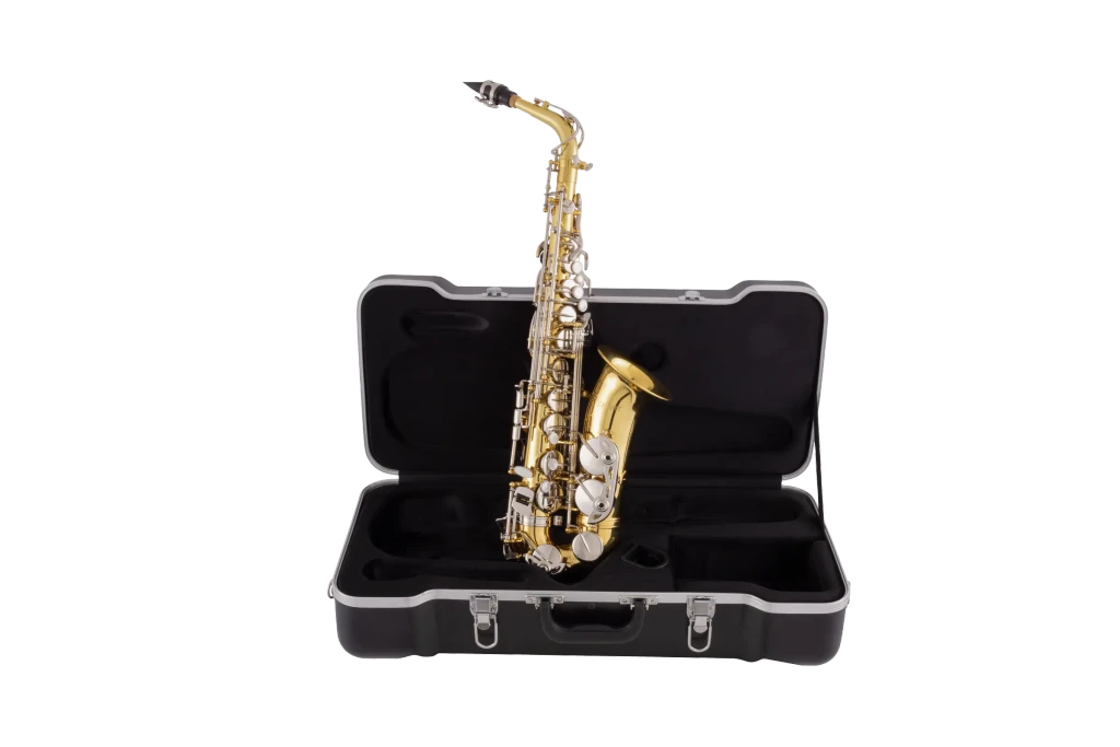 SAS202 Selmer Student AltoSaxophone