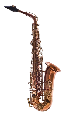 Leblanc Premiere Alto Saxophone in Eb LAS711DL