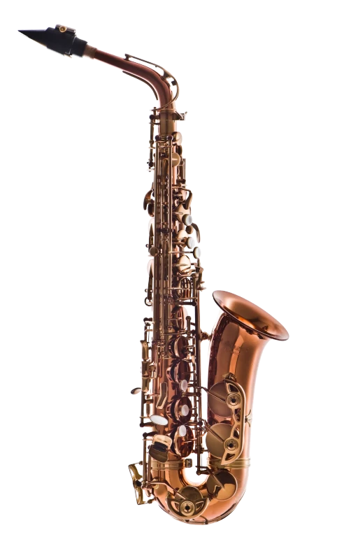 LAS711DL Leblanc Alto Saxophone