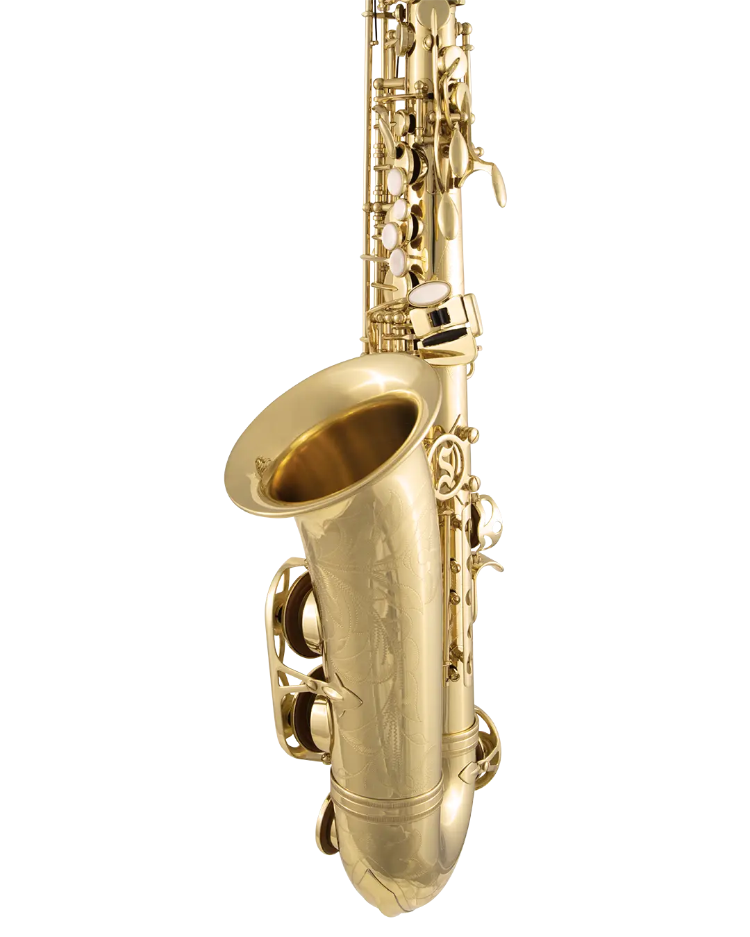 SAS711 Selmer Standard Professional Alto Saxophone In Sd Vr Fs - zoomed in
