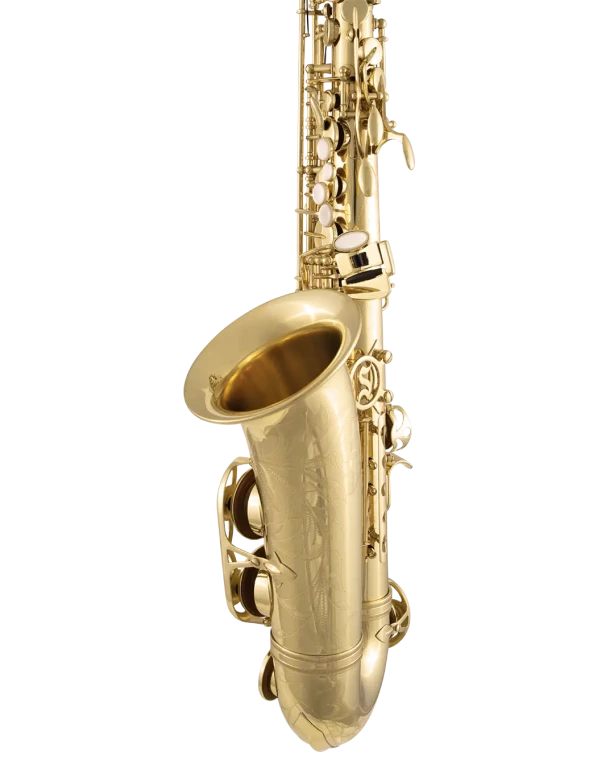 SAS711 Selmer Standard Professional Alto Saxophone In Sd Vr Fs