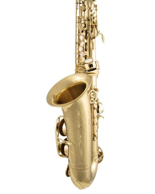 SAS711 Selmer Standard Professional Alto Saxophone In Sd Vr Fs