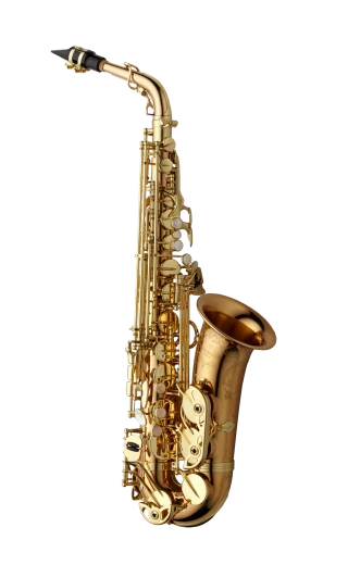 Yanagisawa Alto Saxophone in Eb AWO20