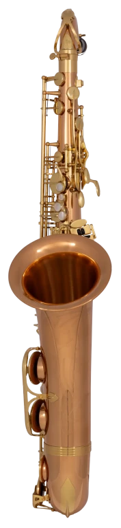 TWO2 Yanagisawa Professional Tenor Saxophone