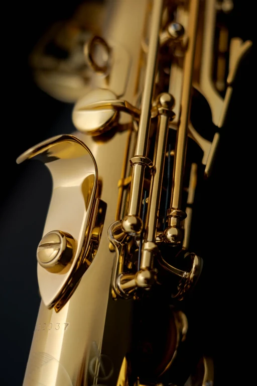 81SIG Henri SELMER Paris Signature Professional Soprano Saxophone