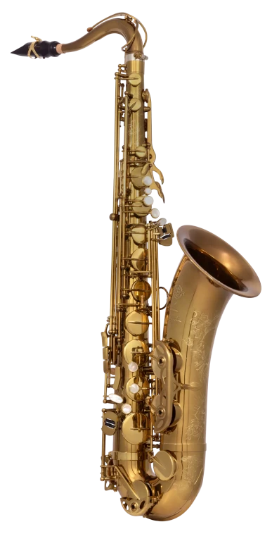 84SIGUSA1 HSP Professional Tenor