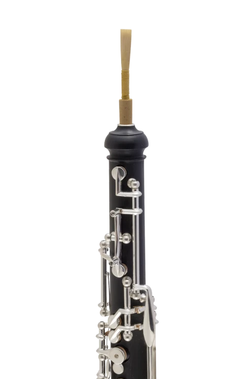 1492FB Selmer Student Standard Oboe In Fr Vr Ts