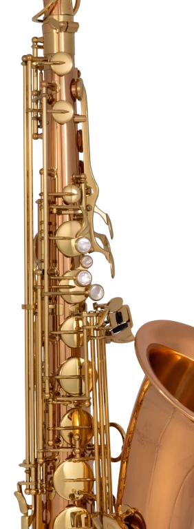 TWO2 Yanagisawa Professional Tenor Saxophone