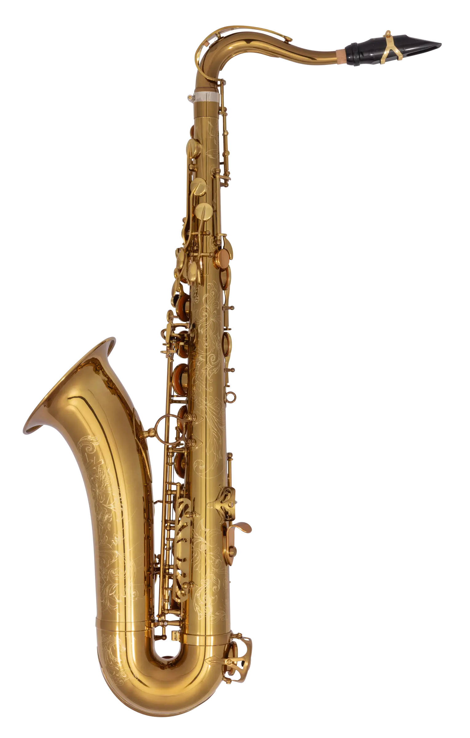 84SIGUSA1 HSP Professional Tenor - zoomed in