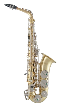 Selmer Alto Saxophone in Eb SAS201