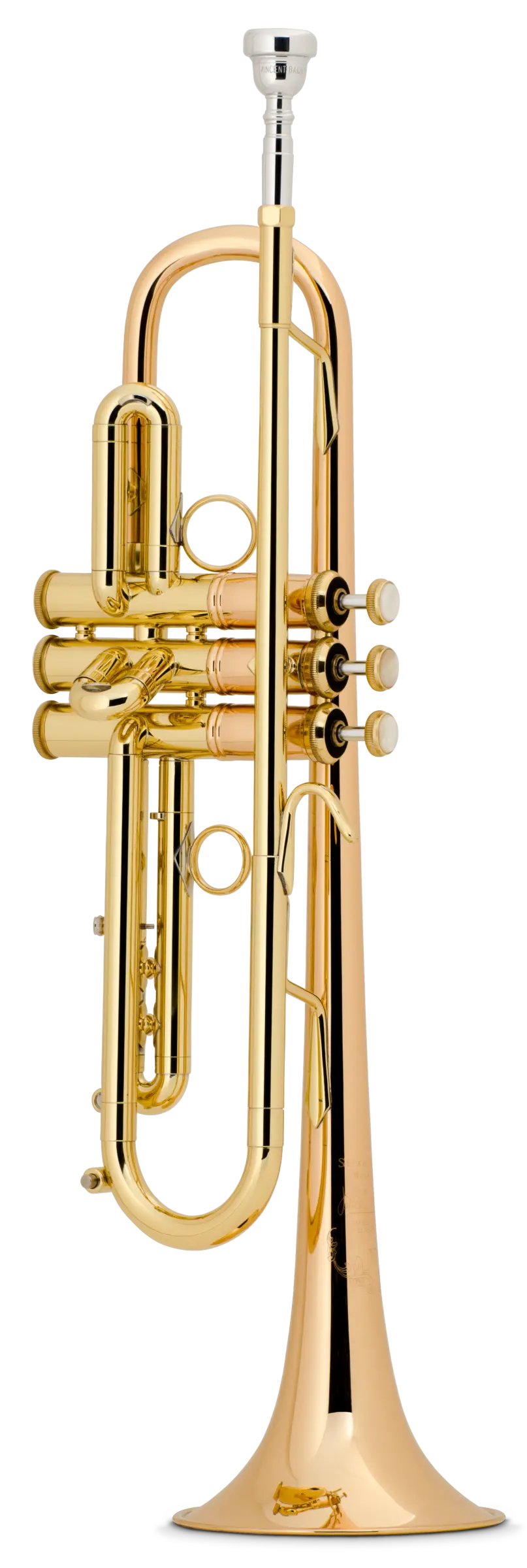 LT1901B - zoomed in