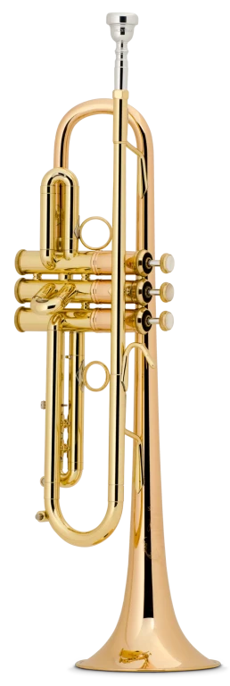 LT1901B